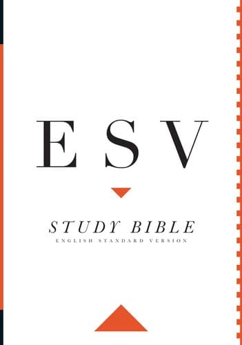 A Crossway ESV cover — a white field with ESV set large in black serif capitals, a thin orange rule down the spine edge and a small orange triangle beneath the lettering.